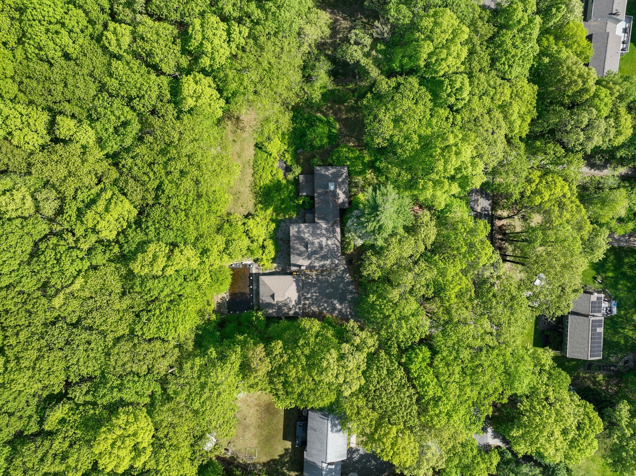 framingham - #73375155