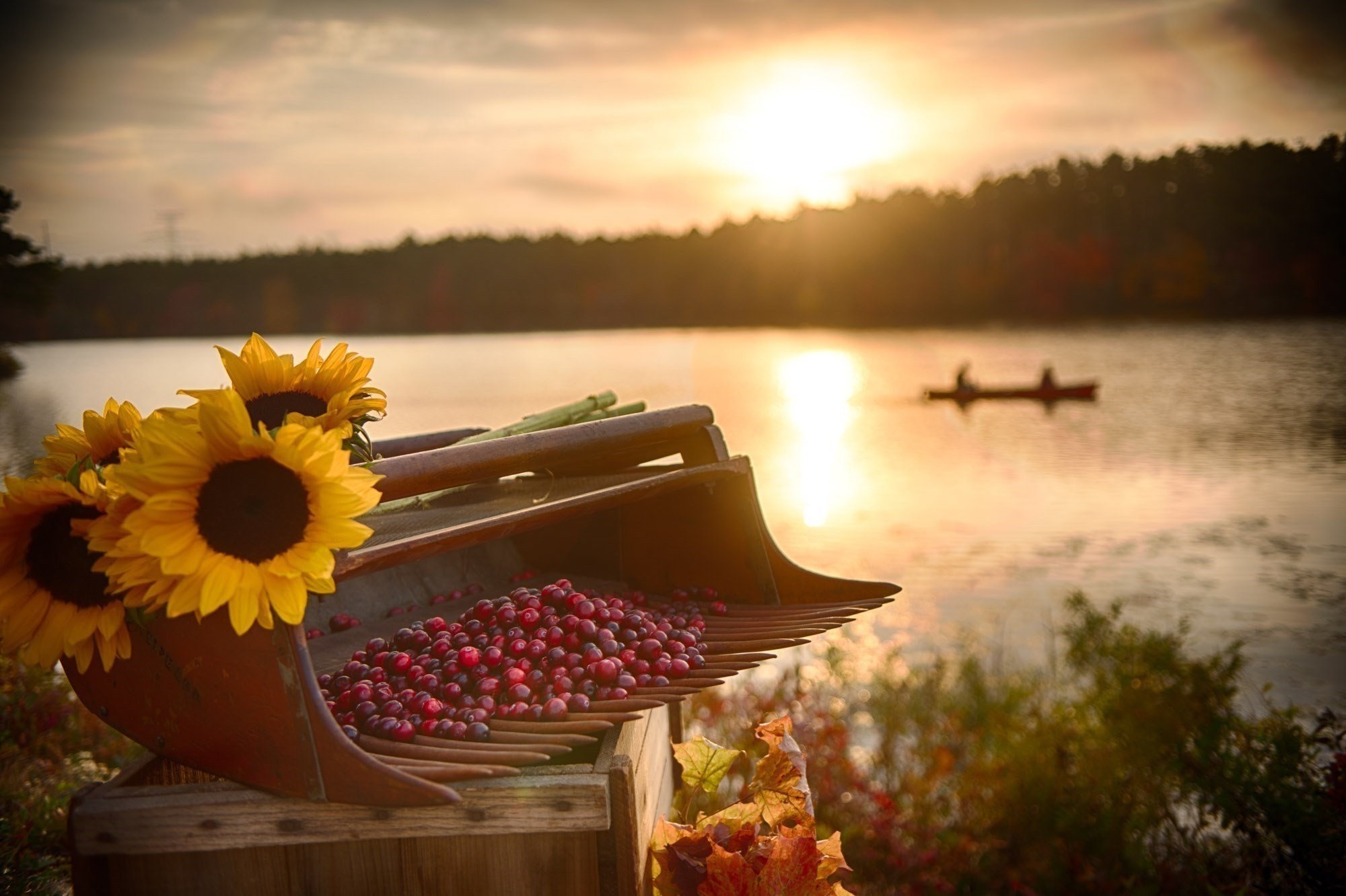 20 Towering Trees Road, Plymouth, MA 02360 - Image 14