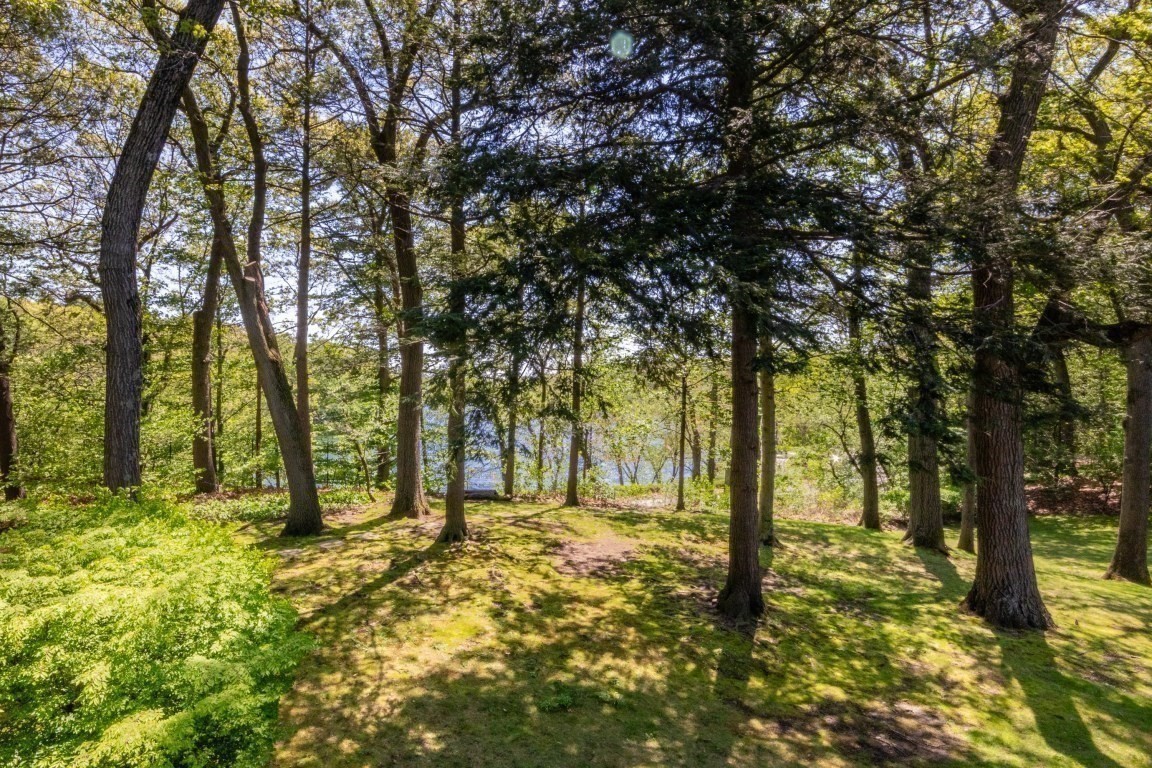 jamaica-plain - #73376594