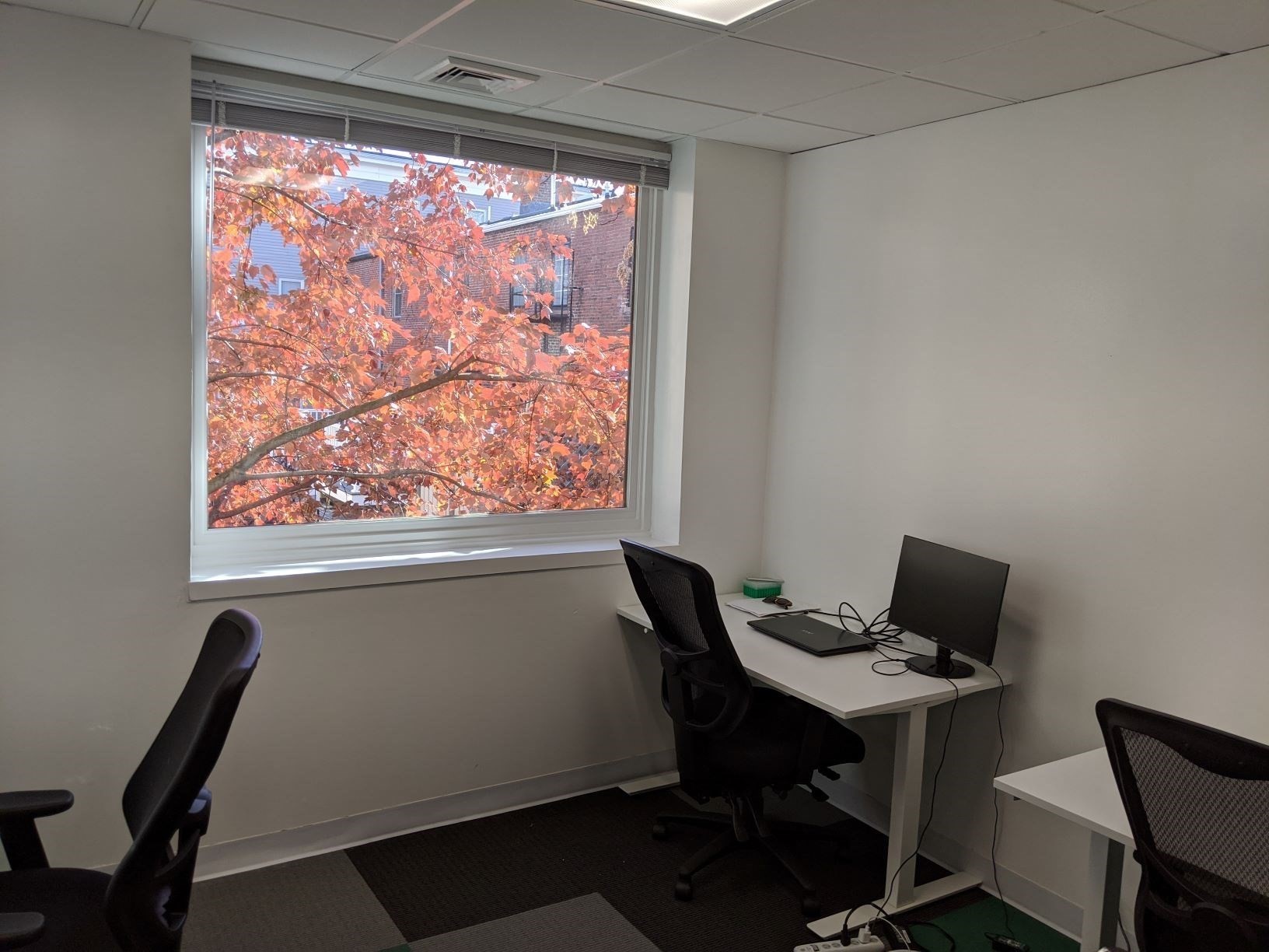 552 Massachusetts Ave Unit 204, Cambridge, MA 02139 - Image 3