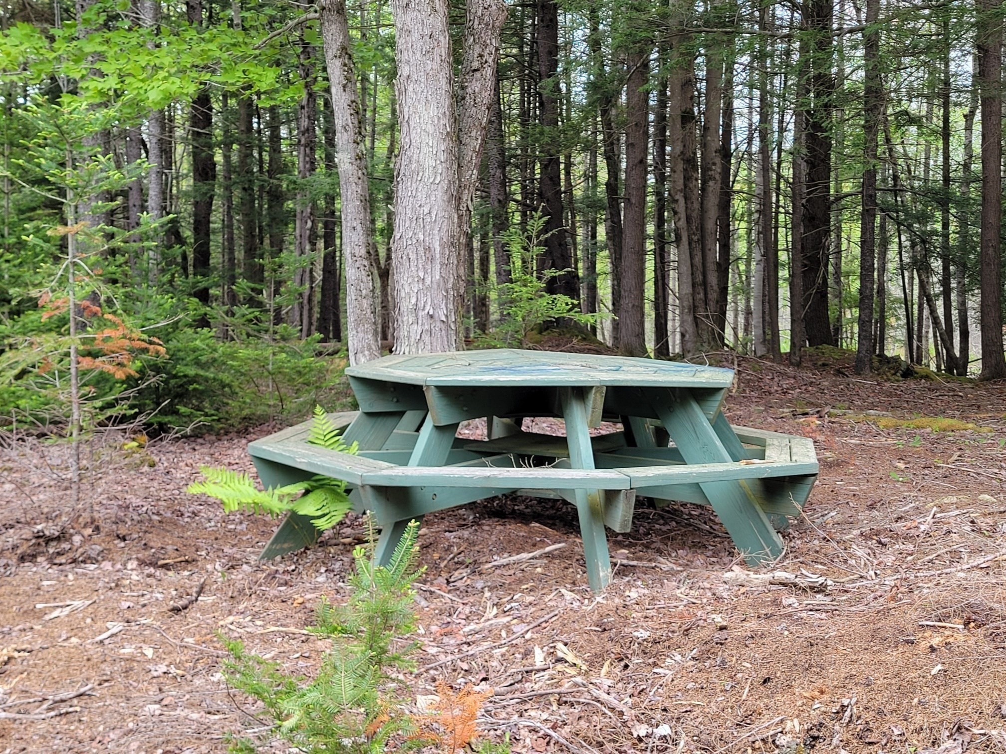 197 Lakeshore Drive, Ashburnham, MA 01430 - Image 9