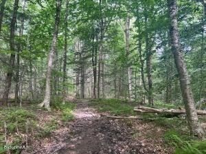 0 Johnnycake Hill Rd, Middlefield, MA 01243 - Image 11