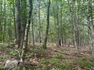 0 Johnnycake Hill Rd, Middlefield, MA 01243 - Image 6