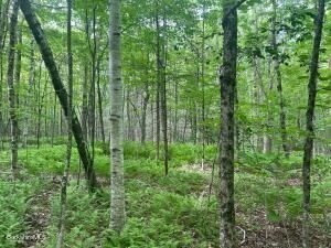 0 Johnnycake Hill Rd, Middlefield, MA 01243 - Image 8