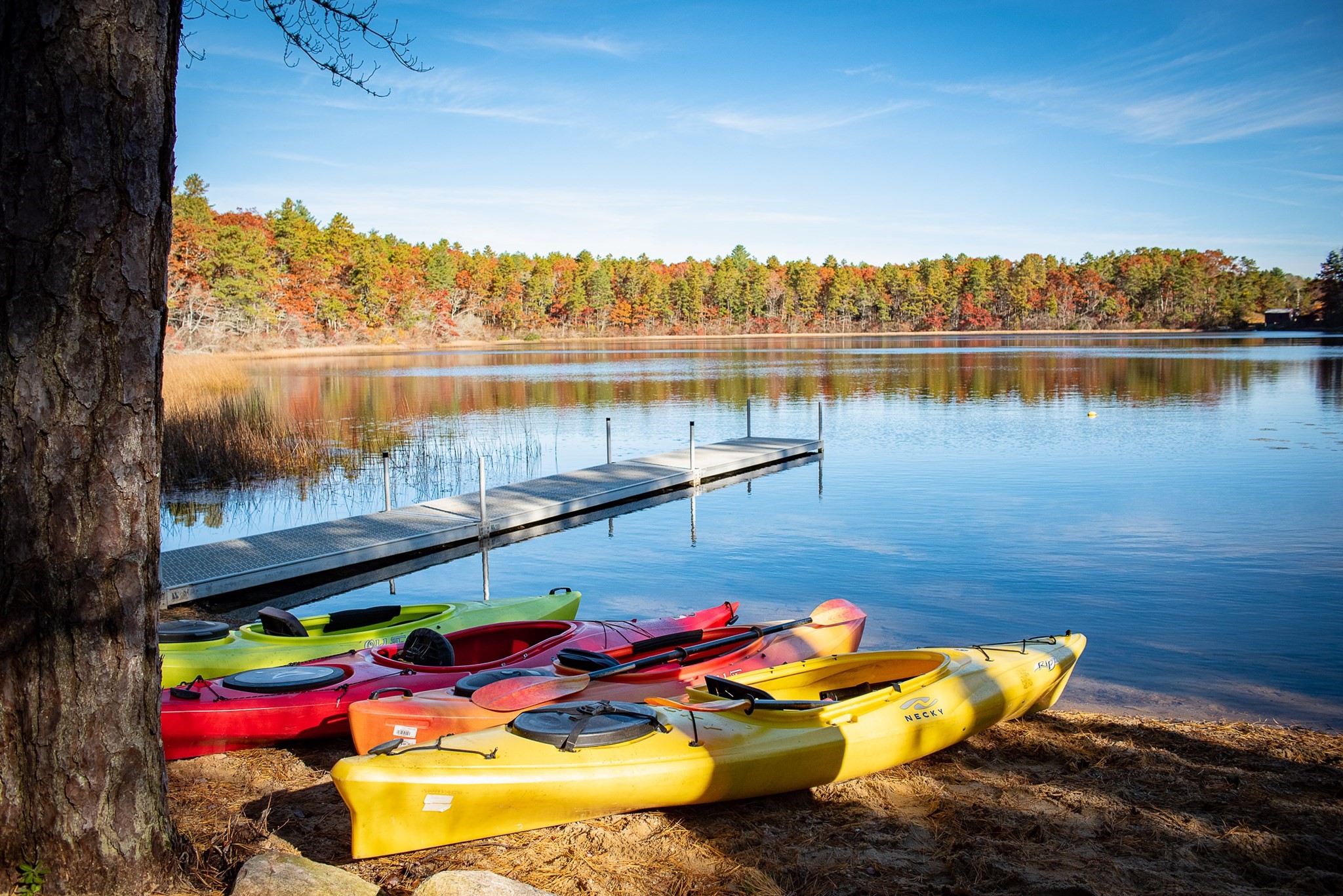 5 Verbena Dr, Plymouth, MA 02360 - Image 12