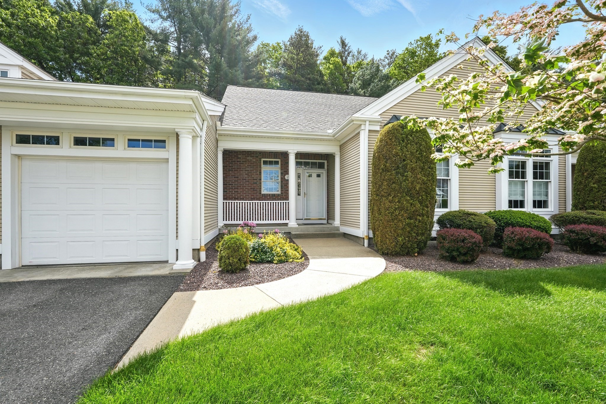 wilbraham - #73378861
