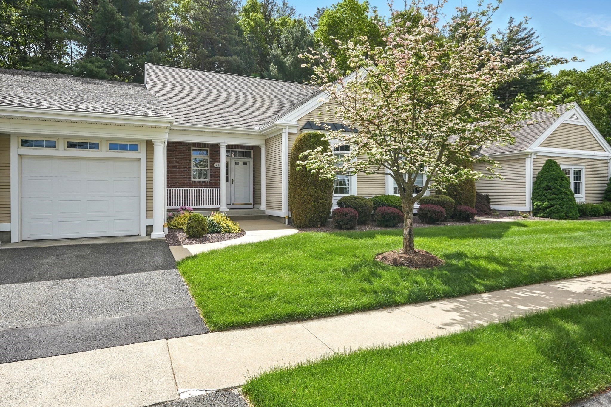 wilbraham - #73378861