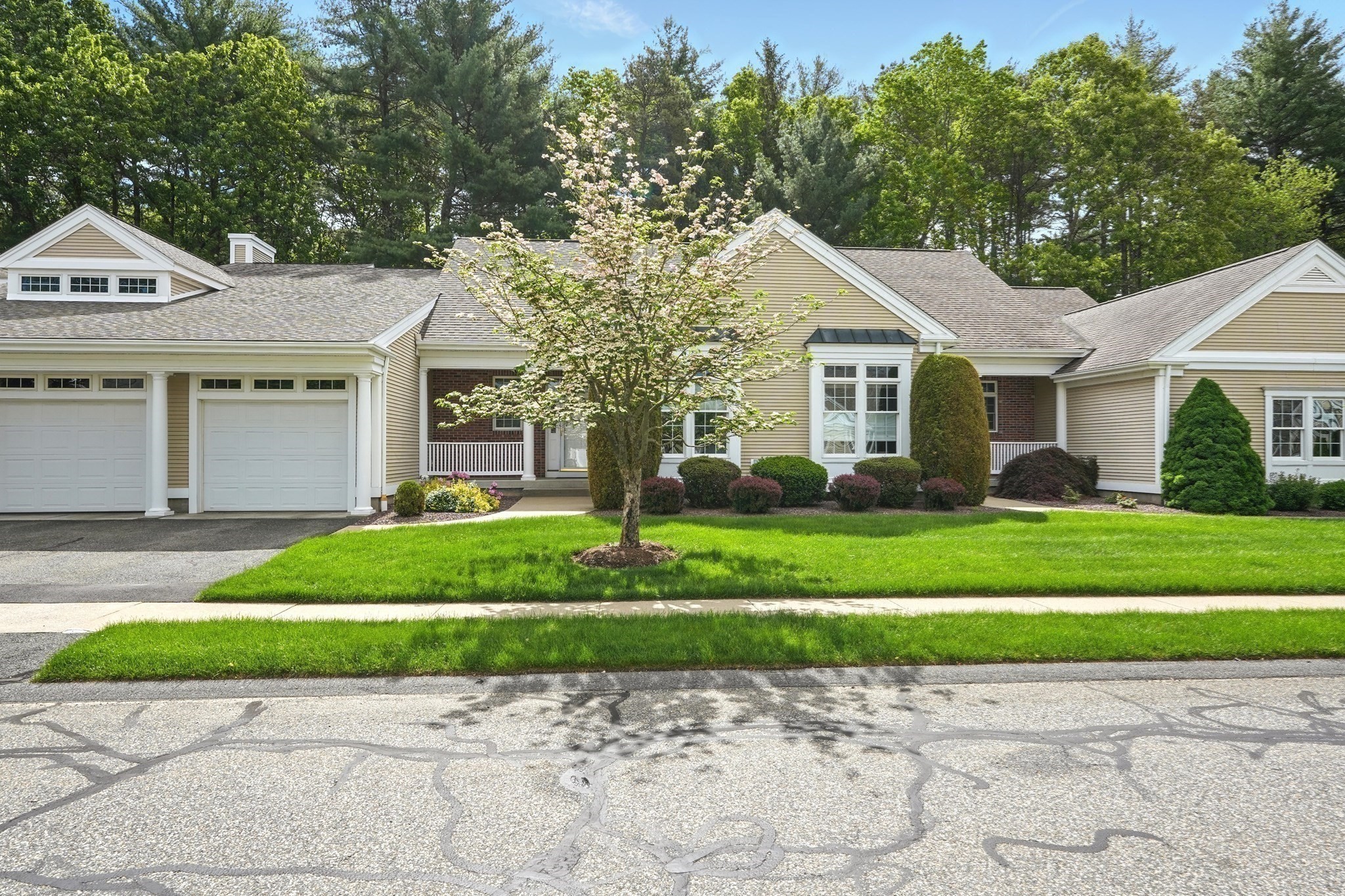wilbraham - #73378861