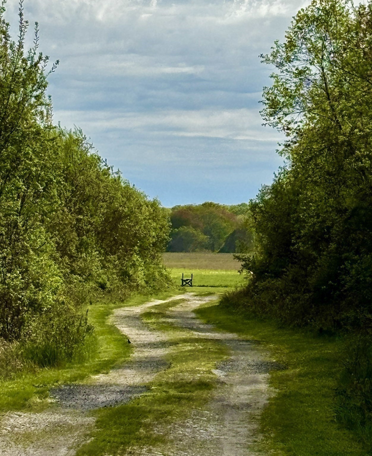 482 Smith Neck Rd, Dartmouth, MA 02748 - Image 3