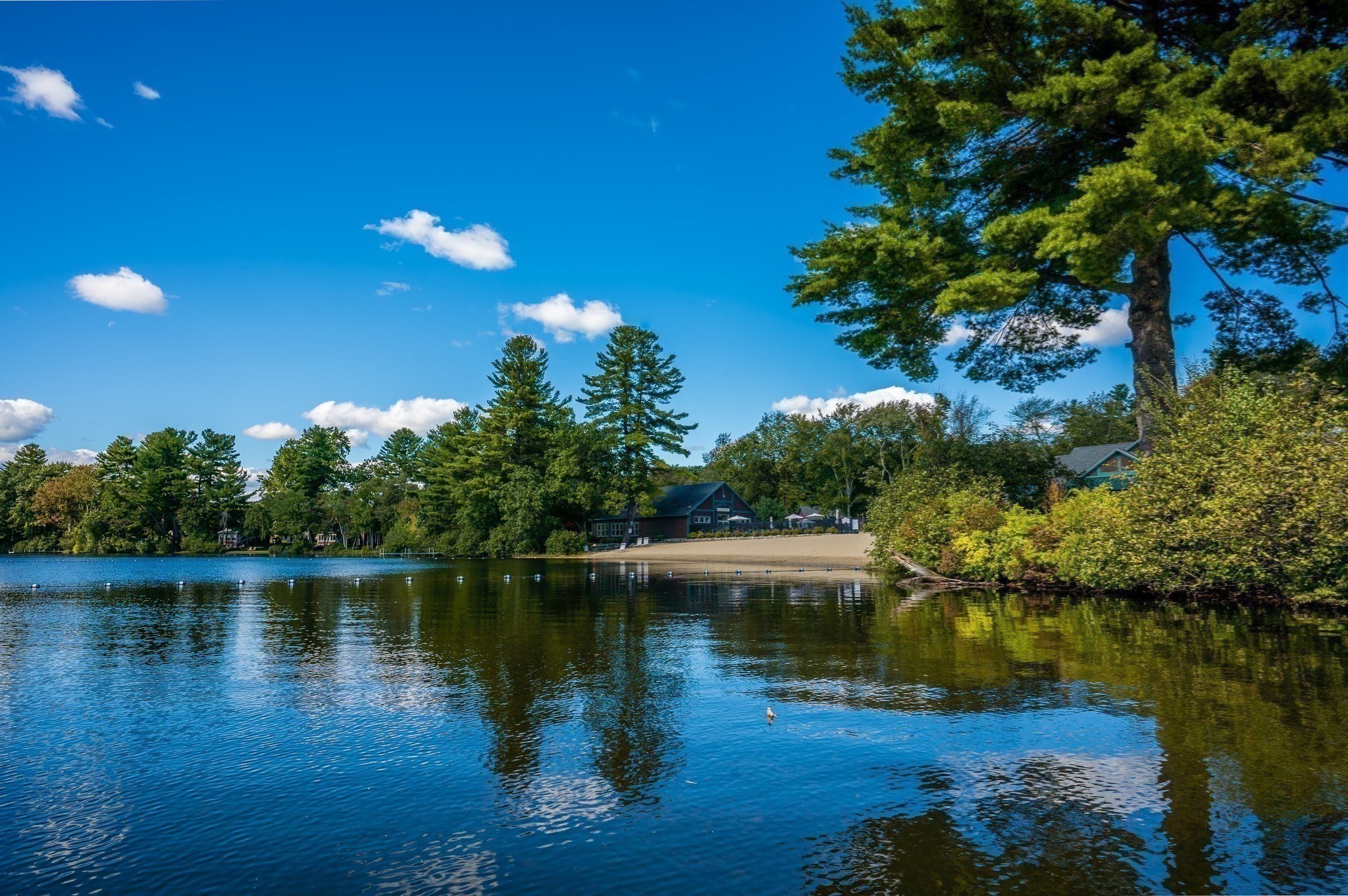westford - #73380556