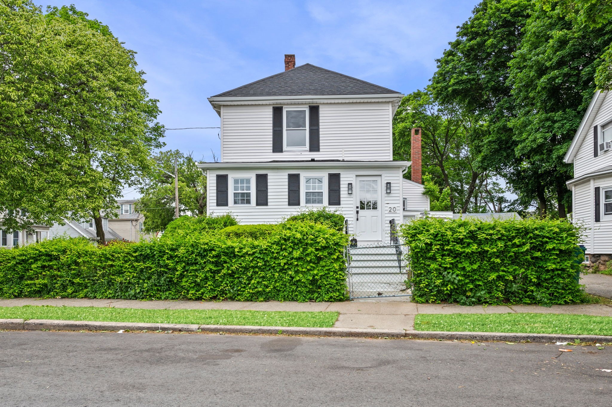 lynn - #73380993