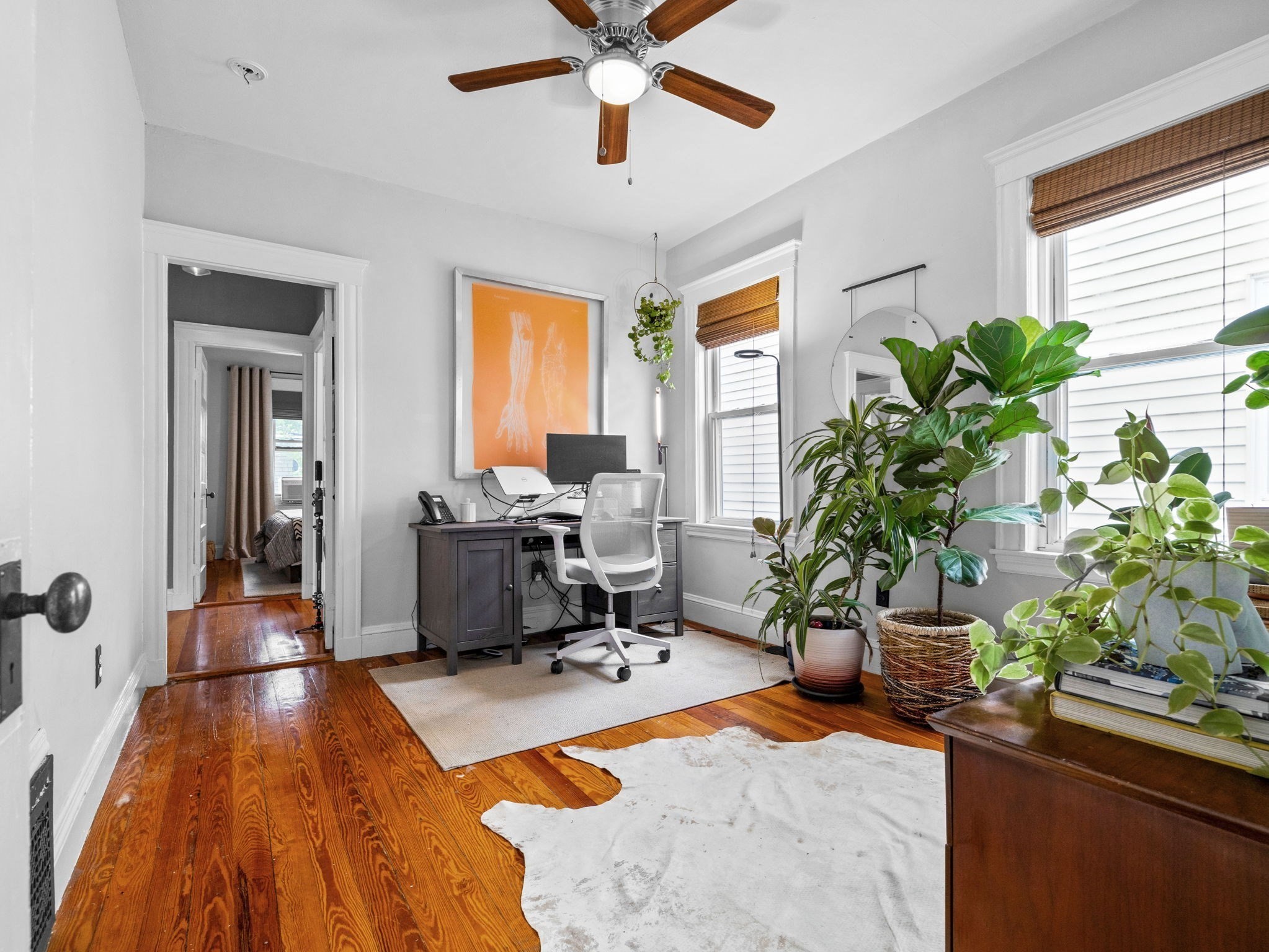 jamaica-plain - #73381110