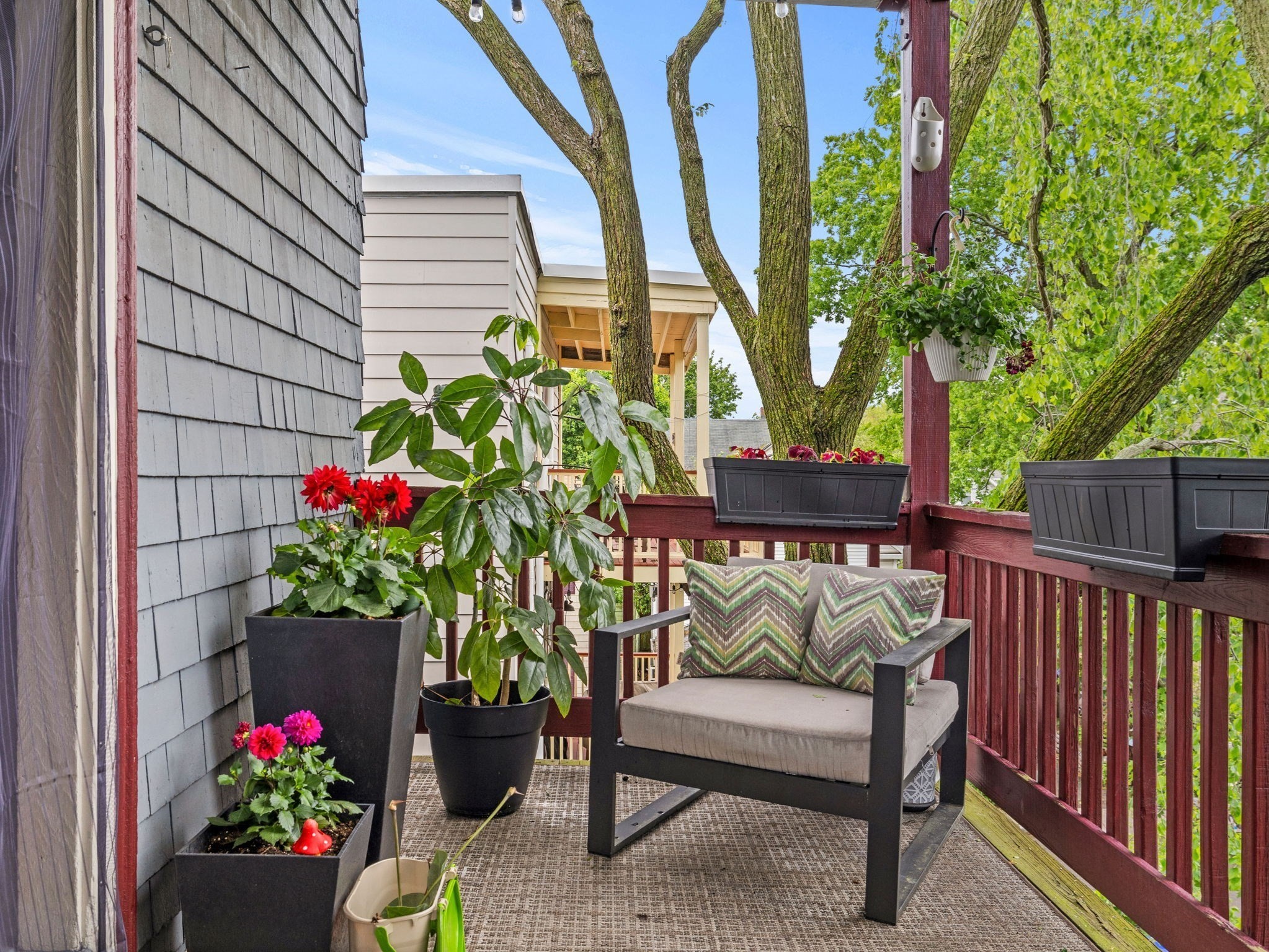 jamaica-plain - #73381110