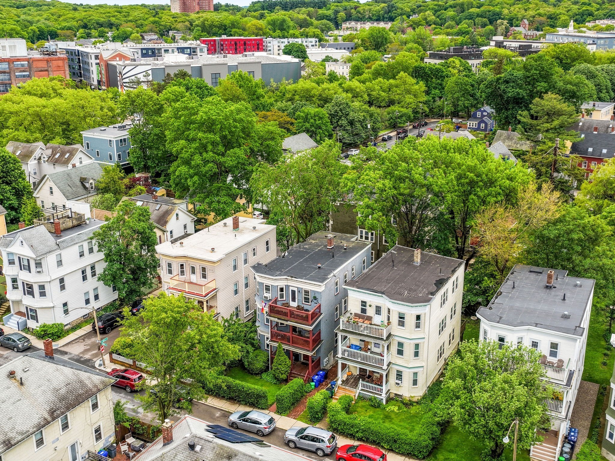 jamaica-plain - #73381110