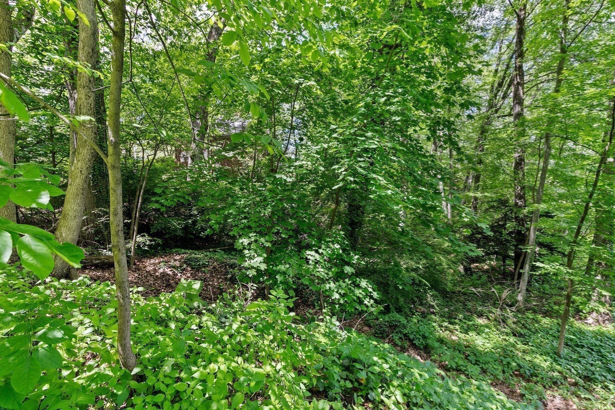 wellesley - #73381446