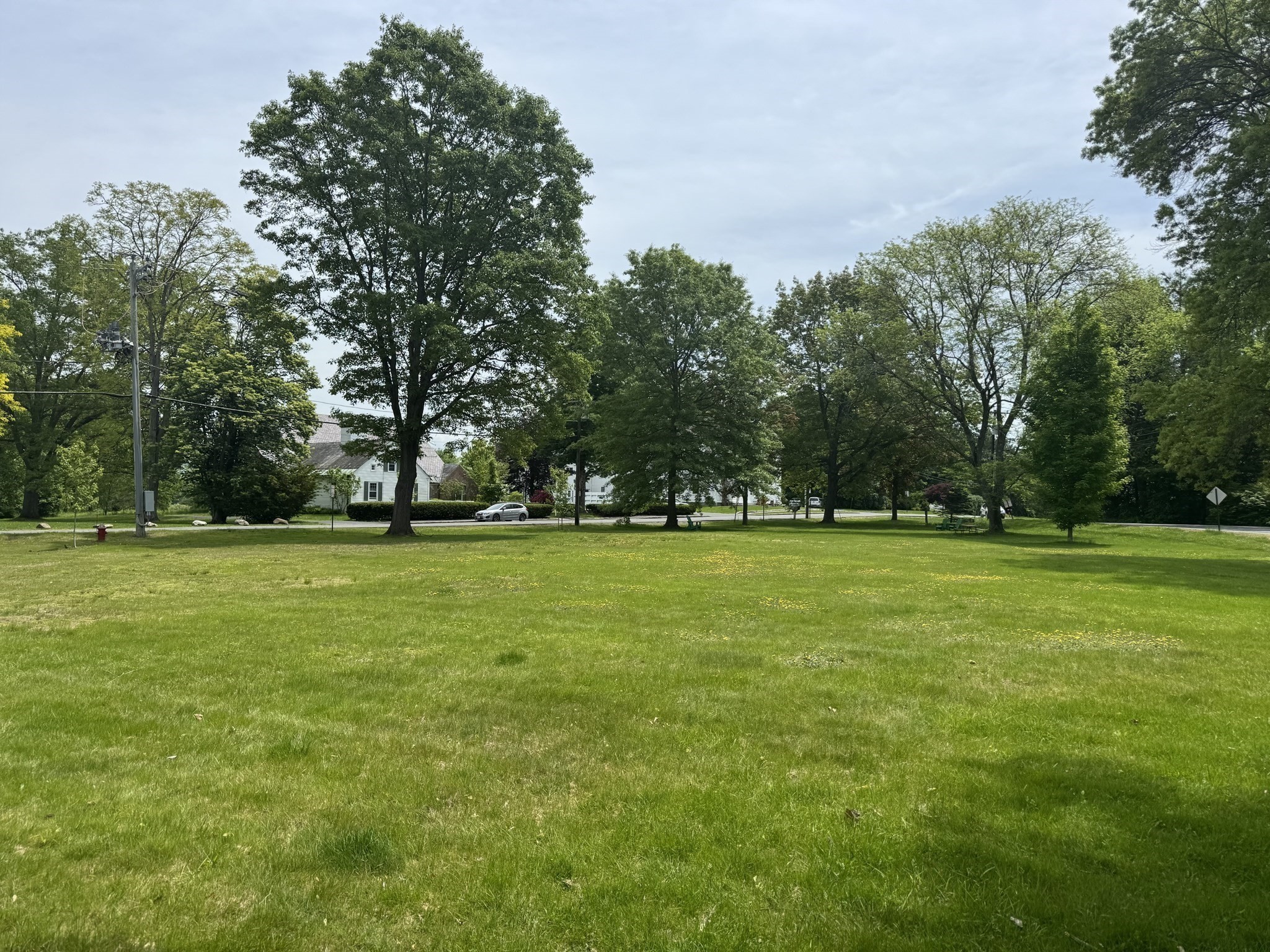 amherst - #73381495