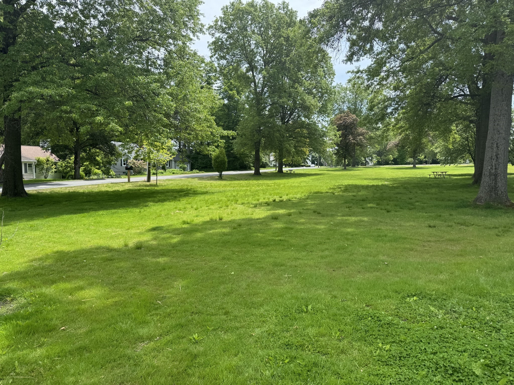amherst - #73381495