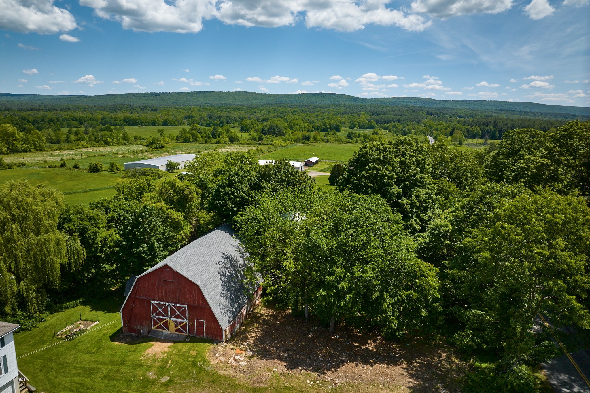 amherst - #73381495