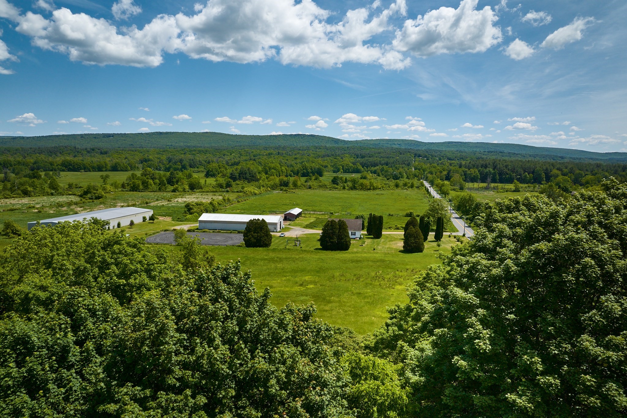 amherst - #73381495