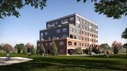 lower-allston - #73381666