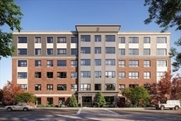 lower-allston - #73381666