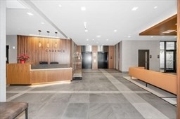 lower-allston - #73381666