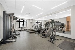 lower-allston - #73381666