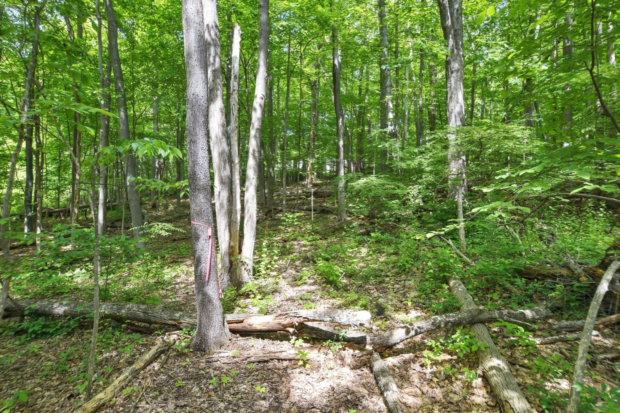 374 Wilbraham Rd Lot A, Hampden, MA 01036 - Image 15