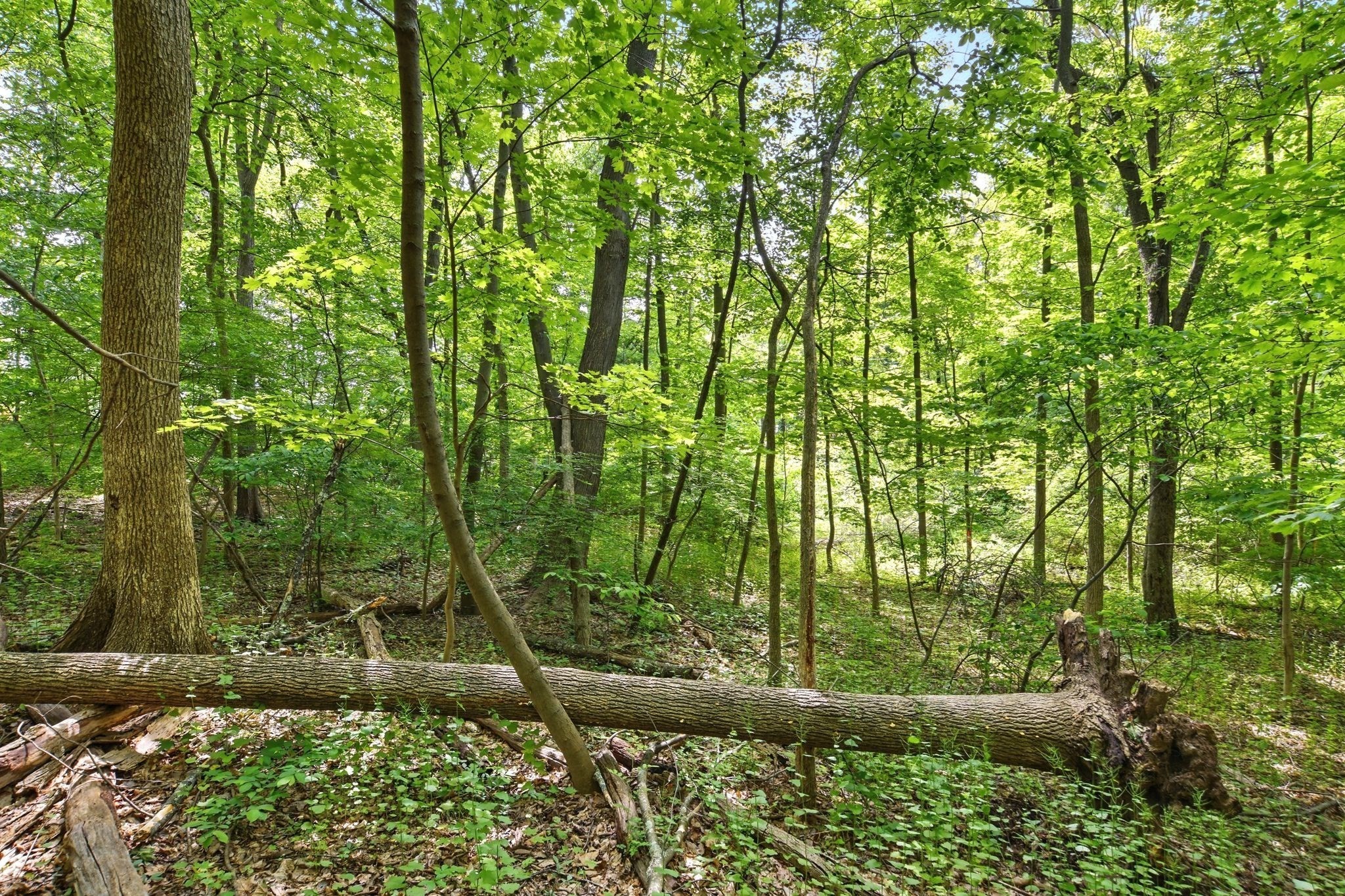 374 Wilbraham Rd Lot A, Hampden, MA 01036 - Image 16