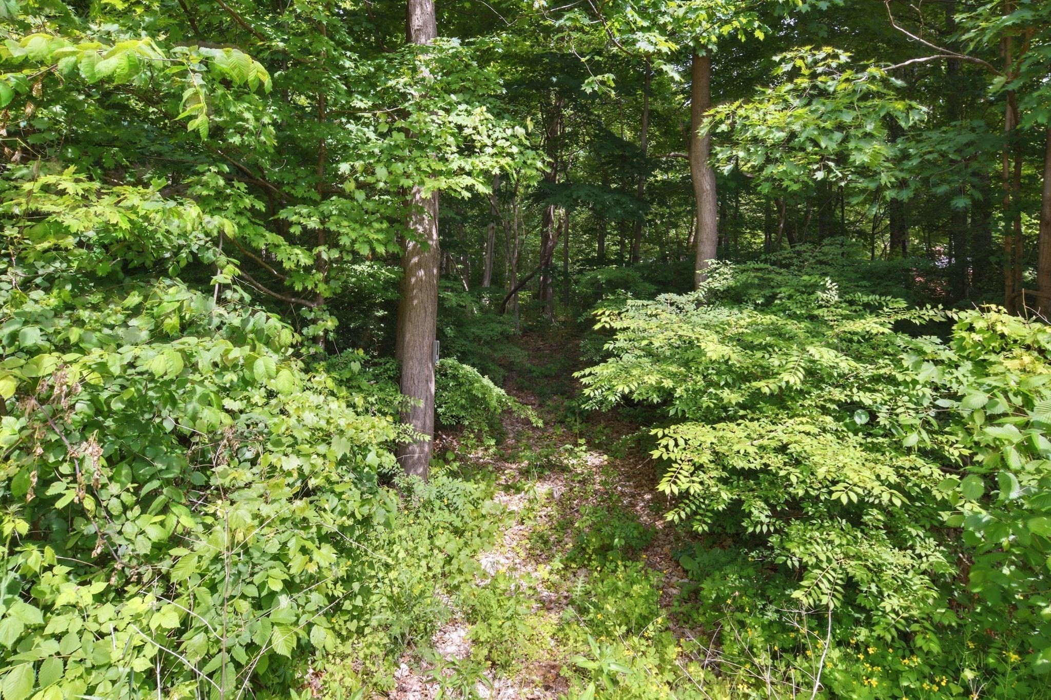 374 Wilbraham Rd Lot A, Hampden, MA 01036 - Image 17