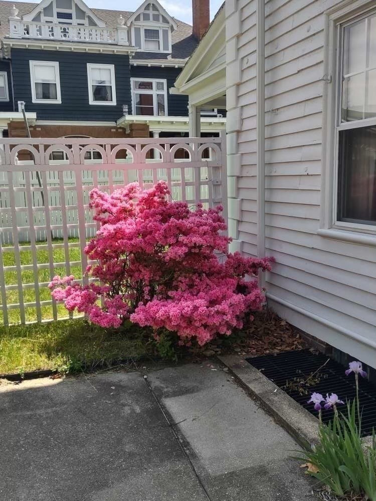 36 Underwood St, Pawtucket, RI 02860 - Image 6