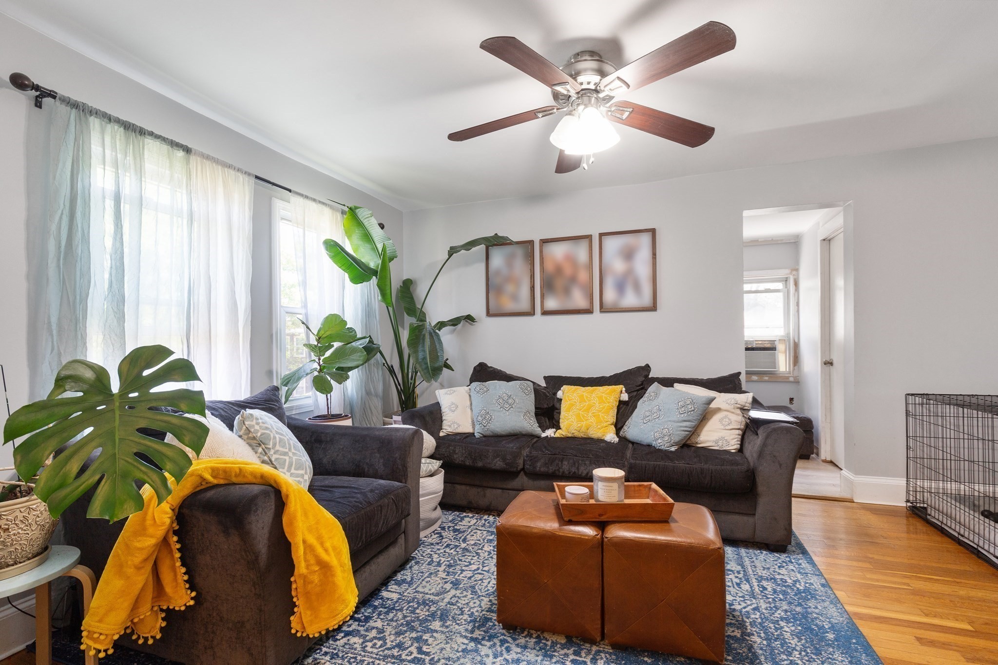 jamaica-plain - #73383054