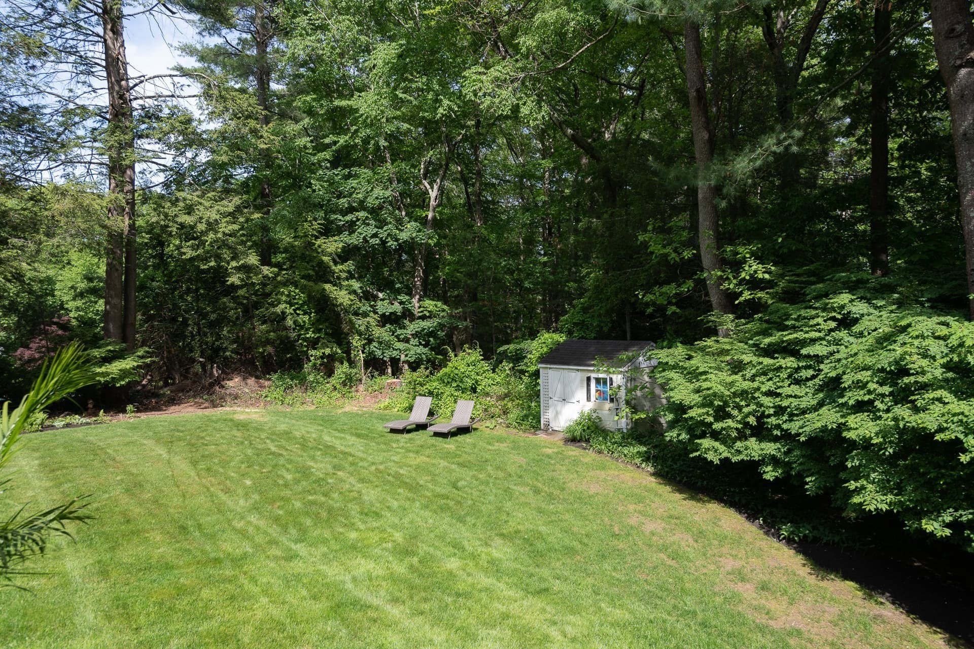 weston - #73383112