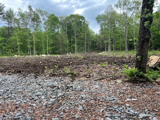 Lot 38 Edson, Oakham, MA 01068