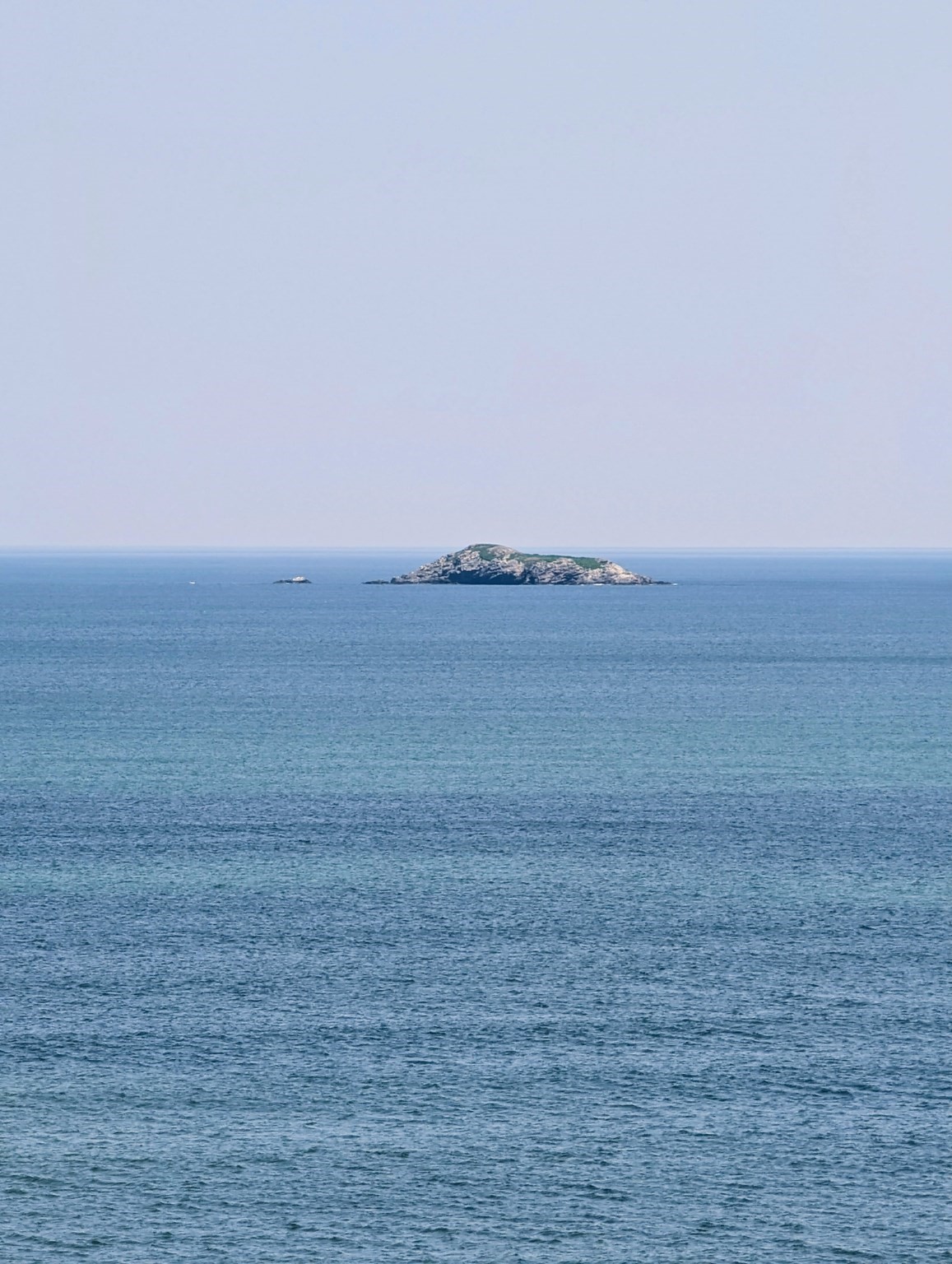 lynn - #73384546