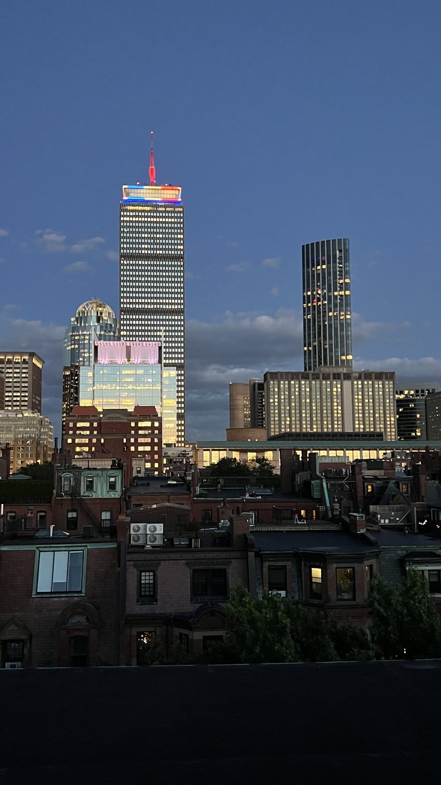 back-bay - #73384793