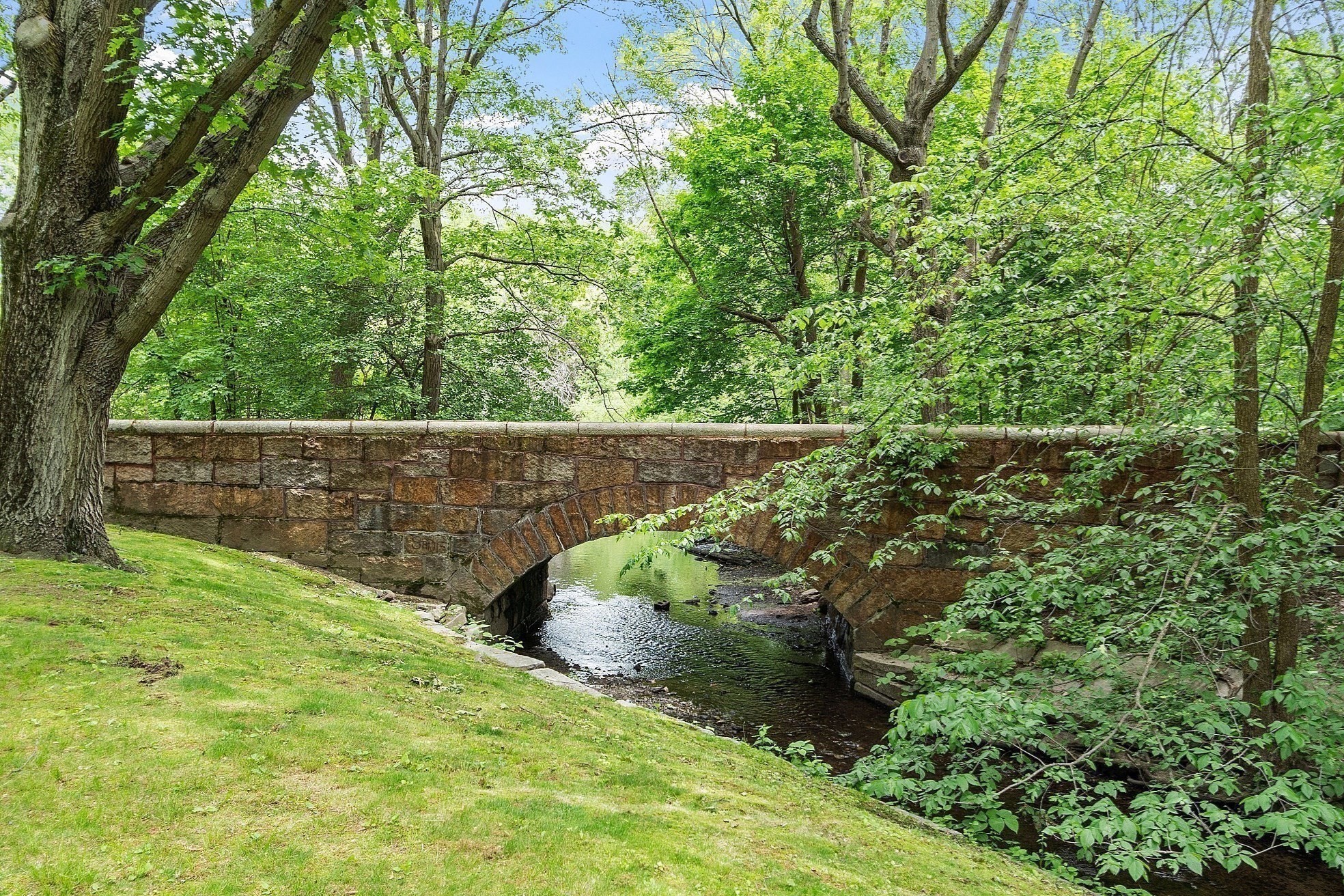 brookline - #73384823