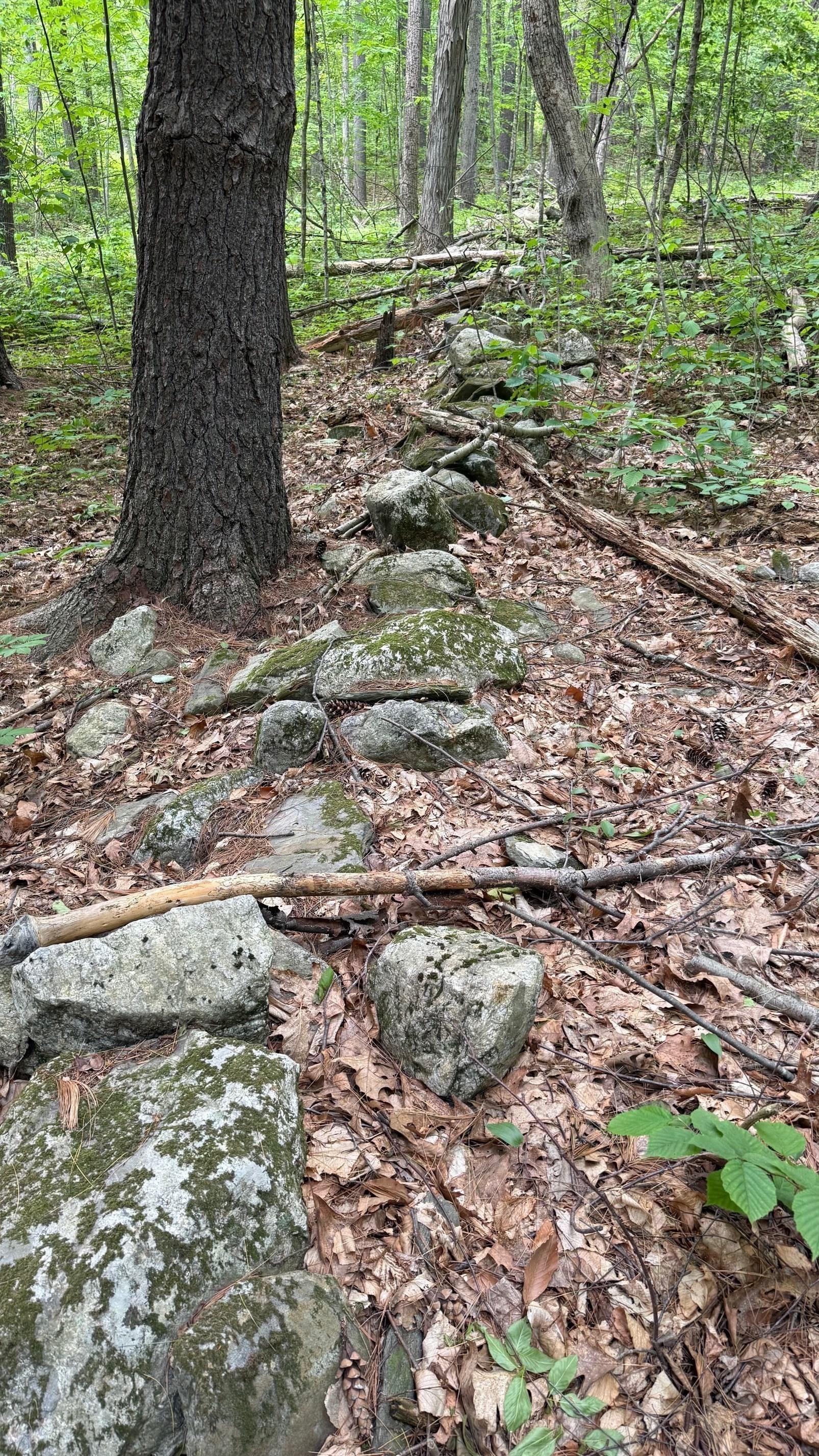 1083 Northfield Rd, Lunenburg, MA 01462 - Image 2