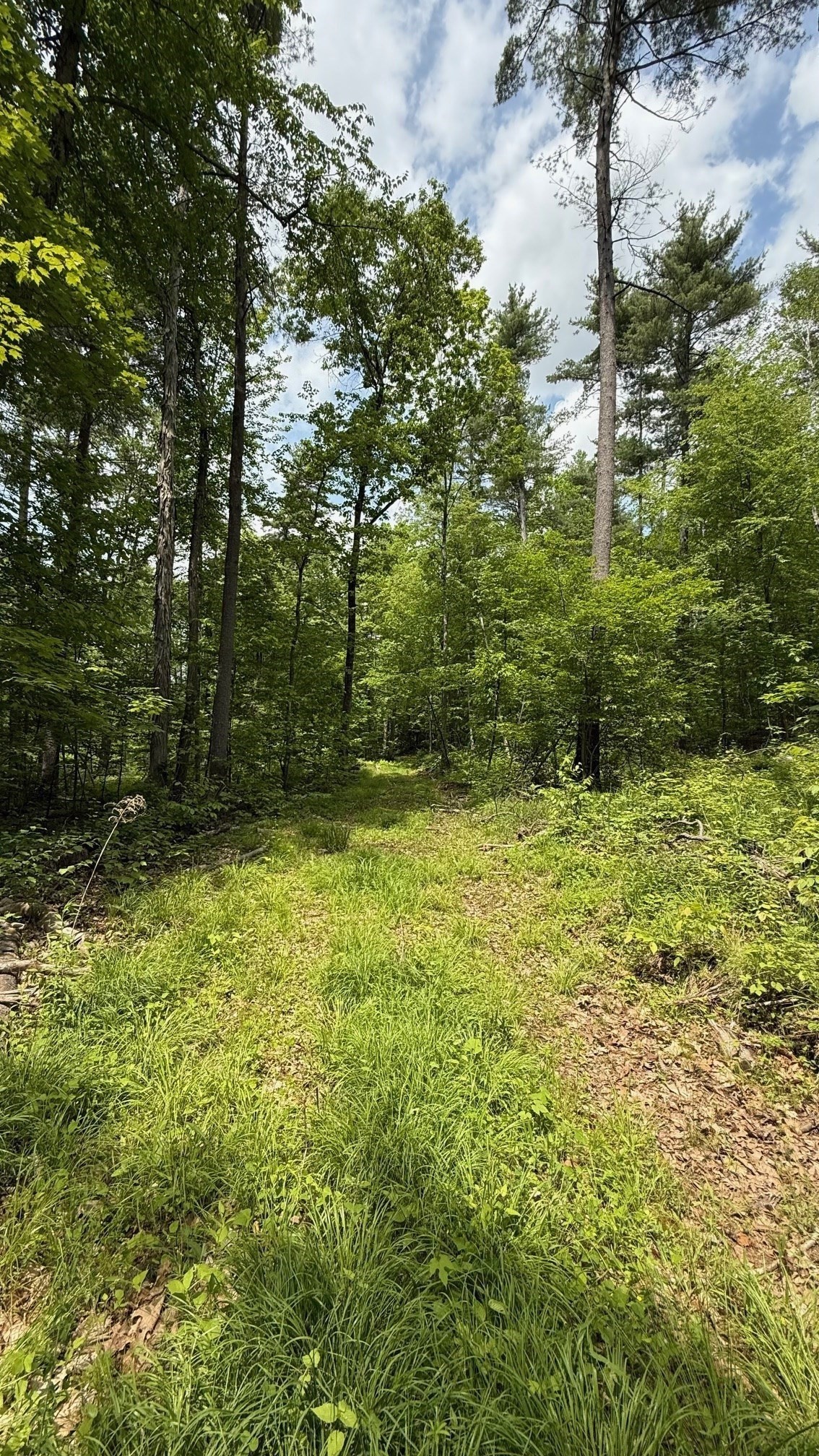 1083 Northfield Rd, Lunenburg, MA 01462 - Image 3