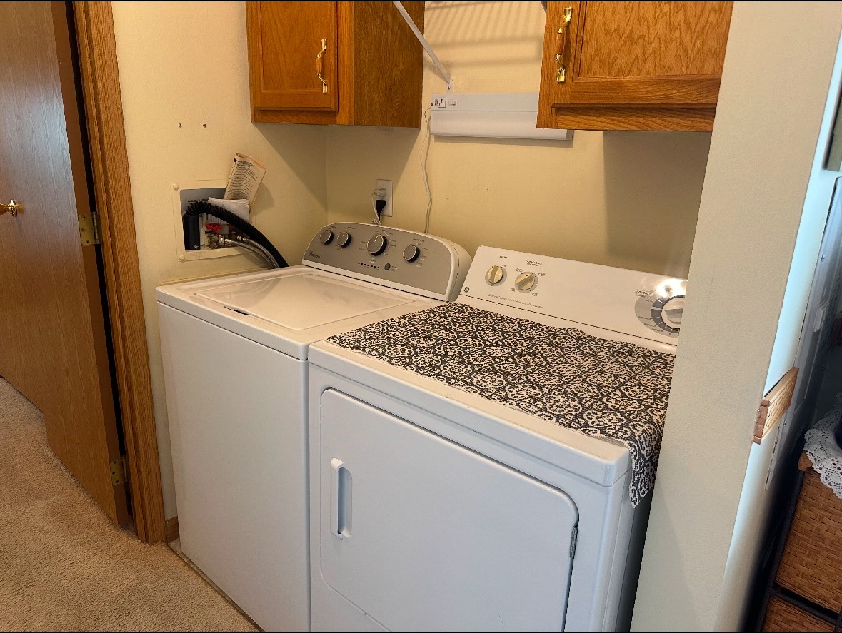 raynham - #73386289
