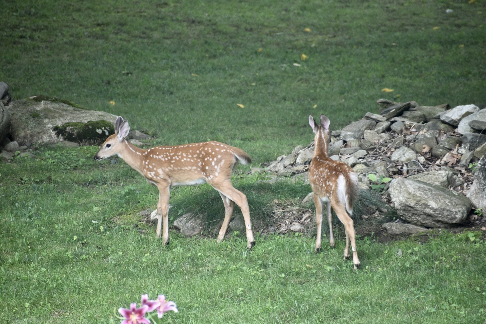 1023 N. Woodstock Road, Southbridge, MA 01550 - Image 20