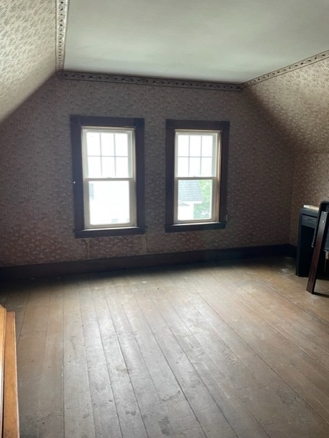 worcester - #73386459