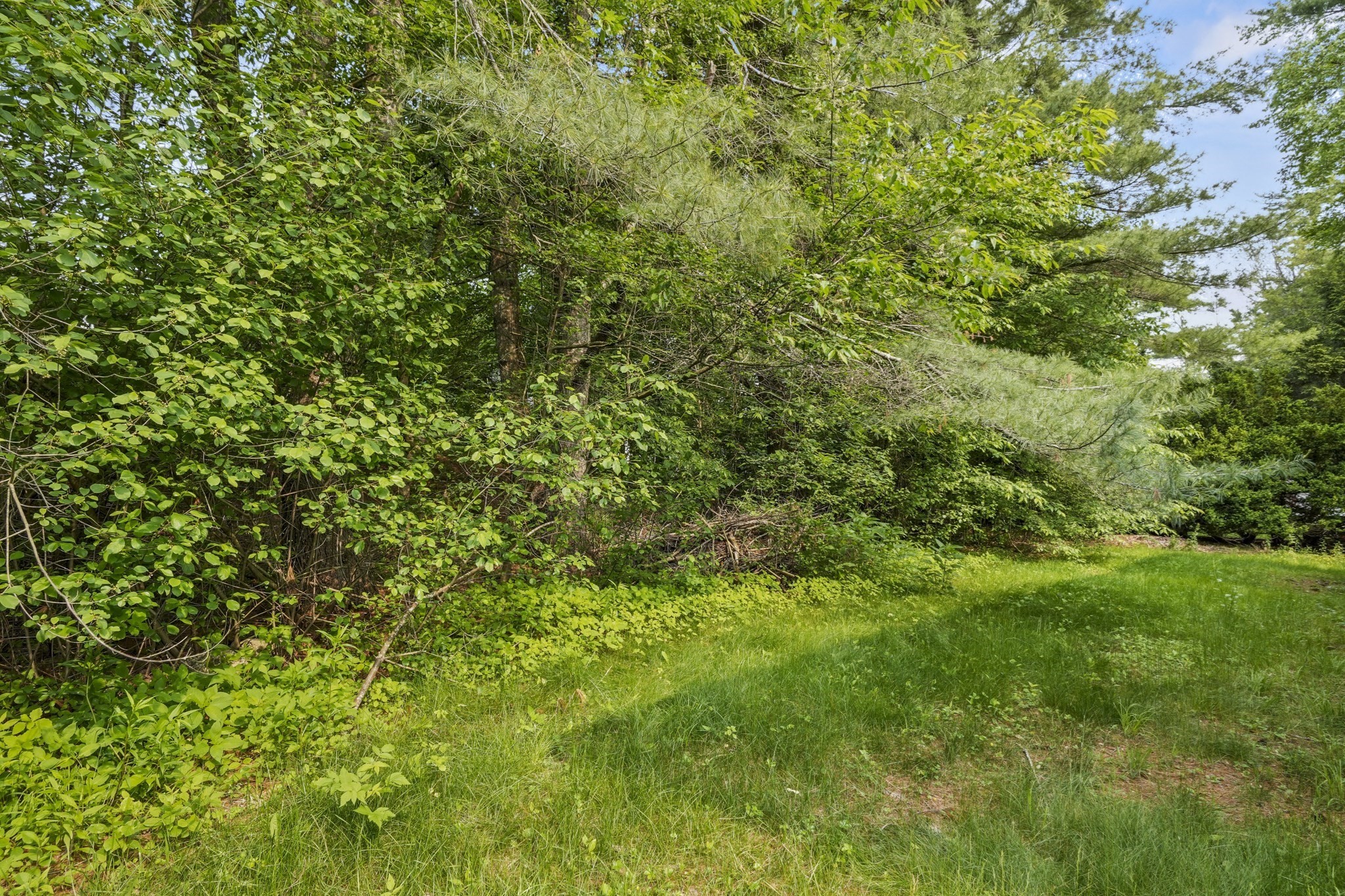 119 West Shore Drive, Ashburnham, MA 01430 - Image 25