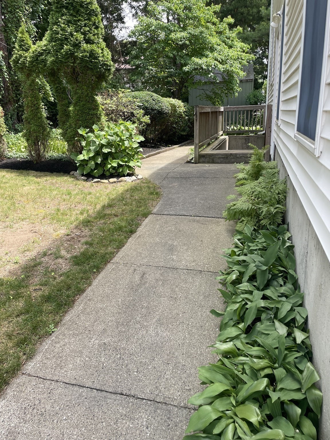 norwood - #73387058