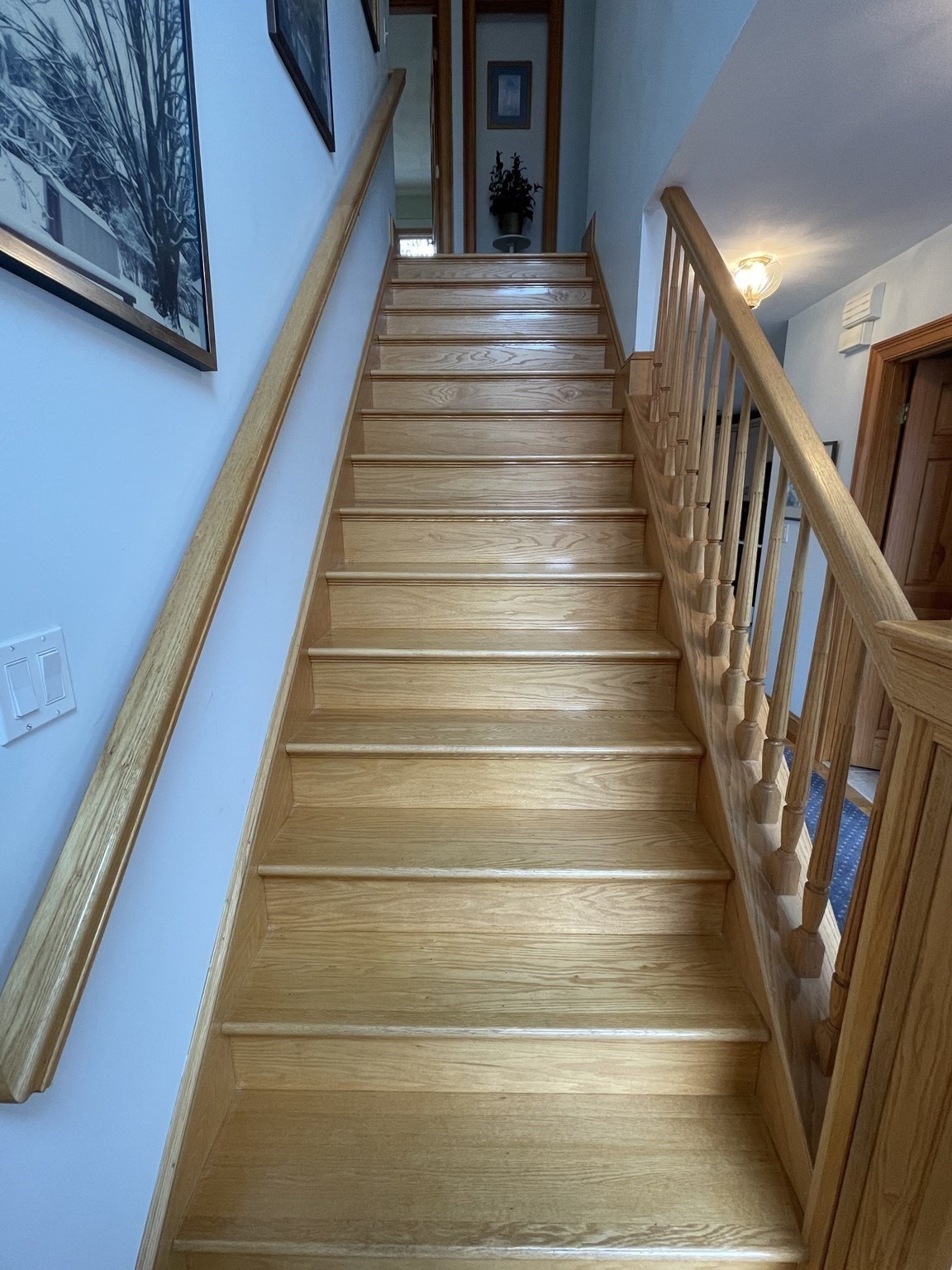 norwood - #73387058
