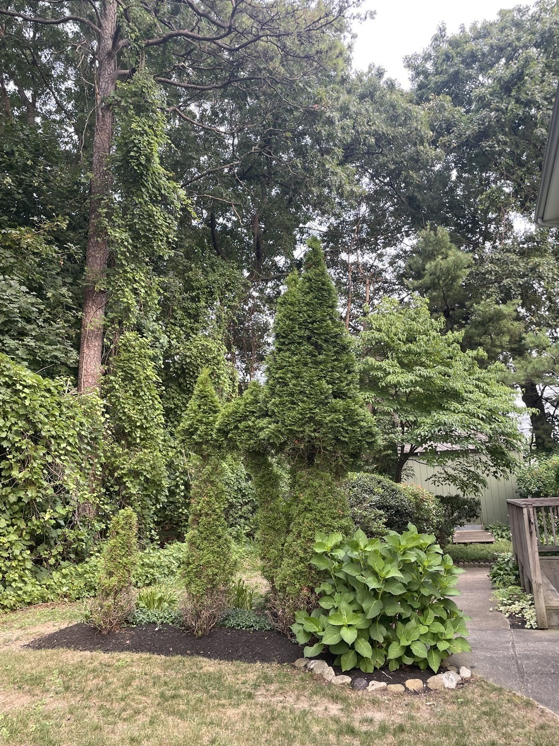 norwood - #73387058