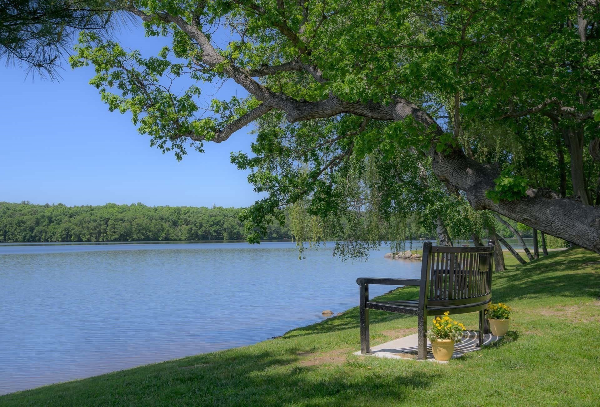 westborough - #73387126