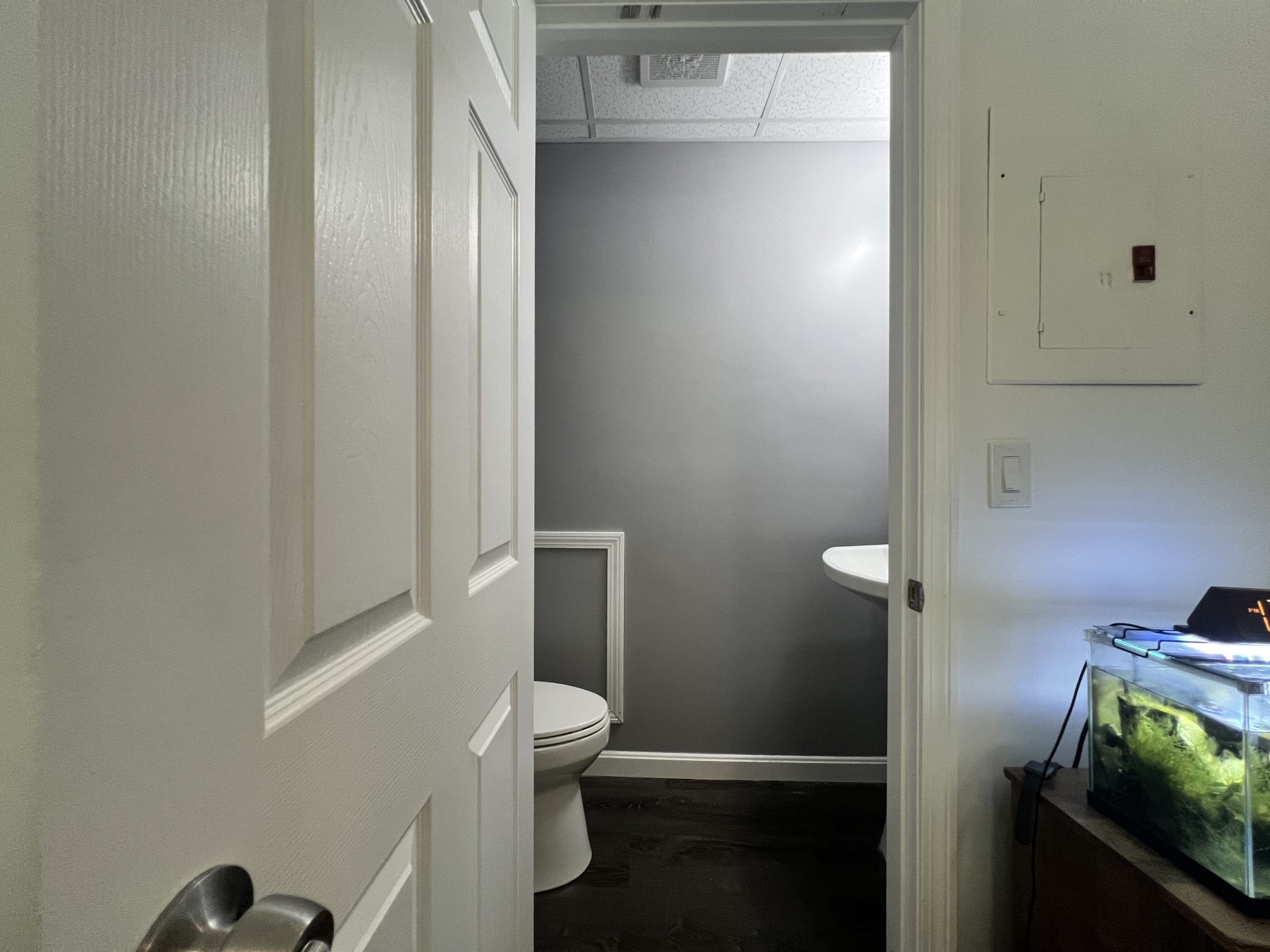 allston - #73387353
