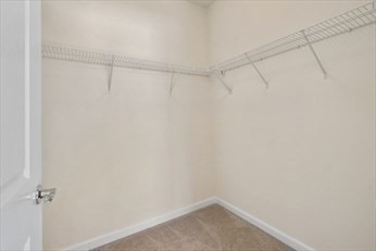 westborough - #73387376