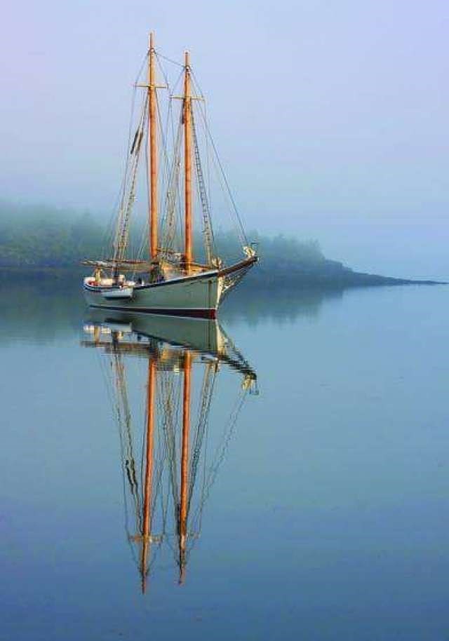 gloucester - #73387445